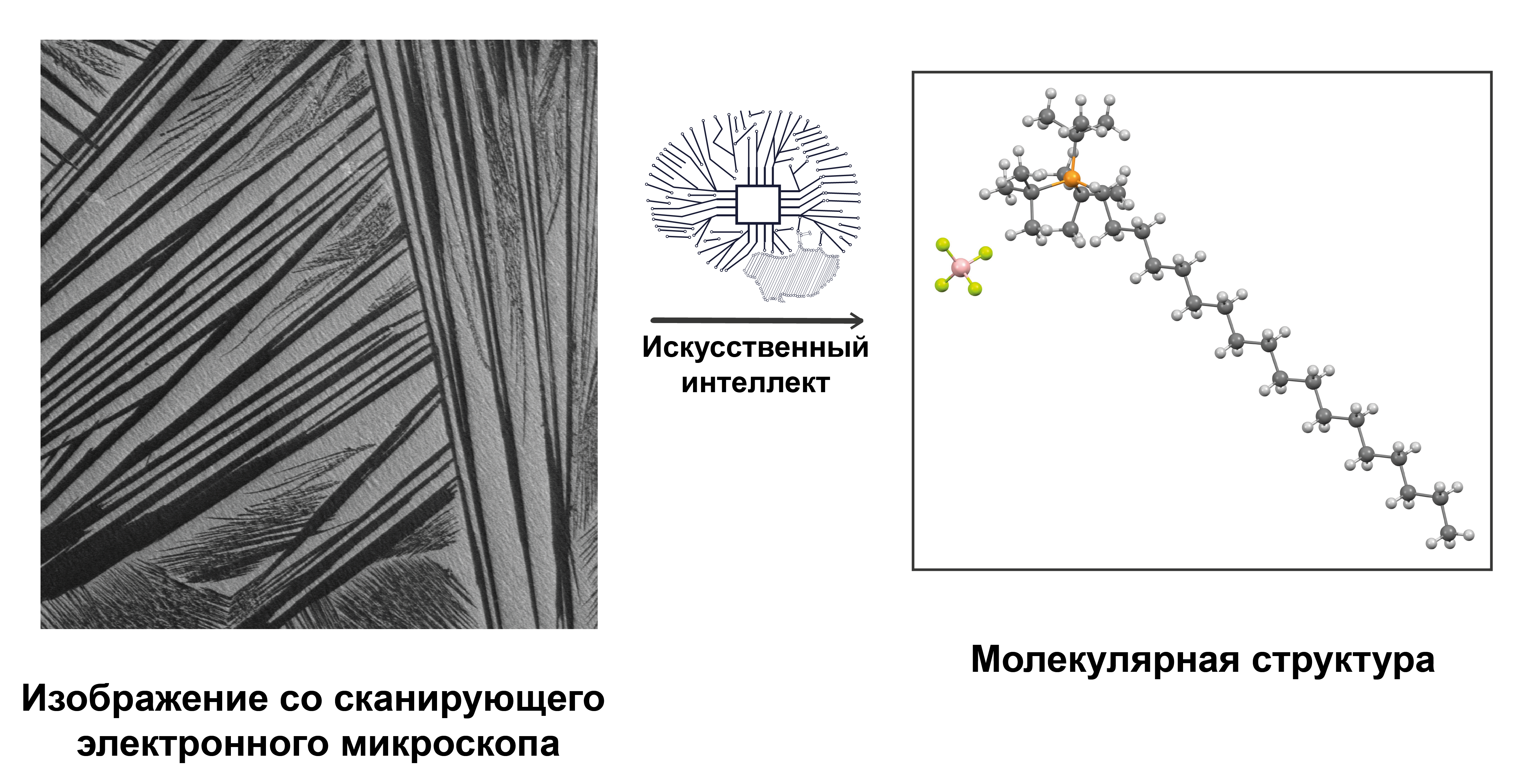 ИИ научился определять молекулярную структуру веществ по изображениям под микроскопом